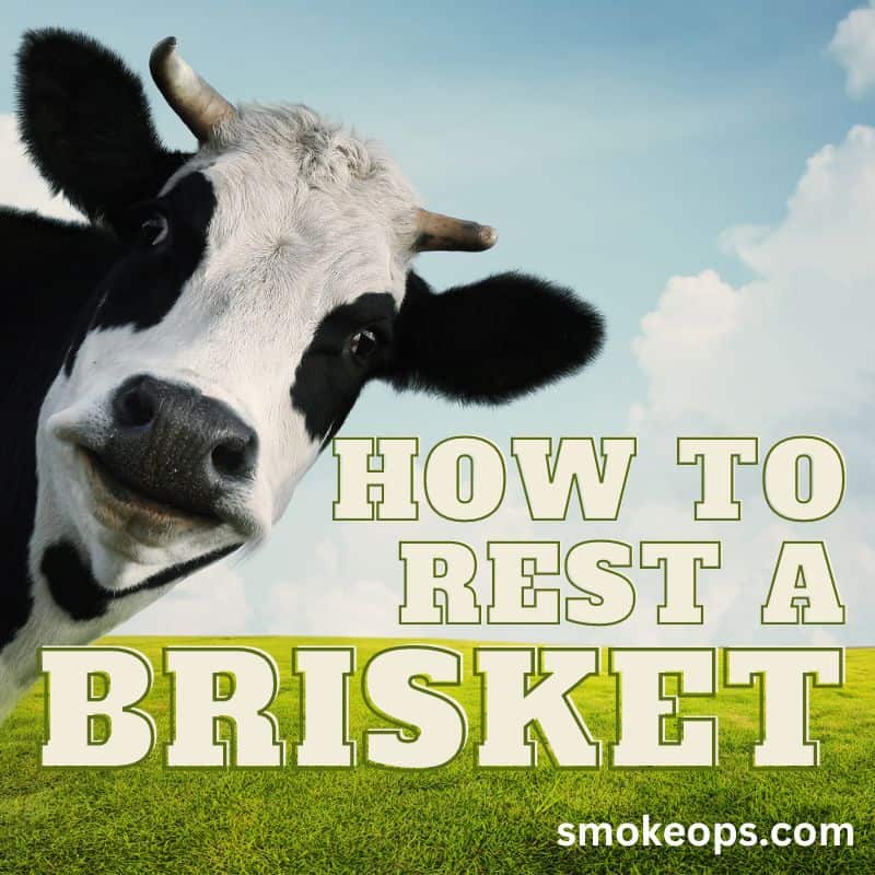 How to rest a brisket_FI