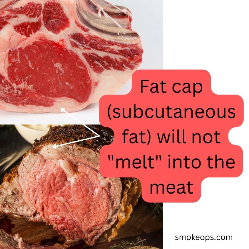 Smoking prime rib fat side up or down_subcutaneous fat